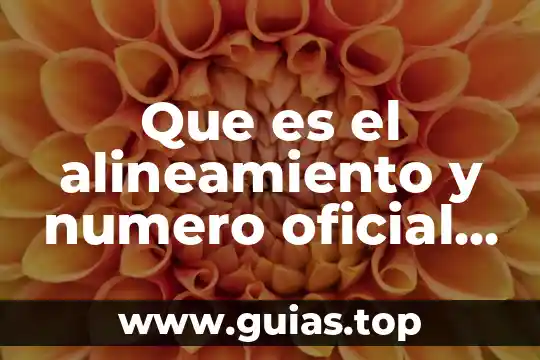 Número de rastreo que es 4 Que es el alineamiento y numero oficial puebla