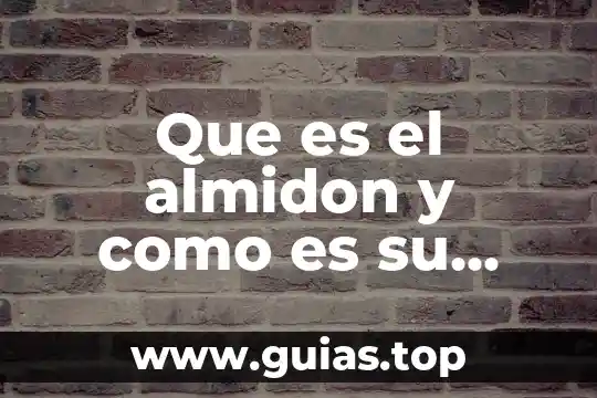 Que es un compuesto saturado en quimica 3 Que es el almidon y como es su estructura quimica