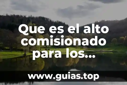 Que es tener un alto concepto de uno mismo 5 Que es el alto comisionado para los derechos humanos