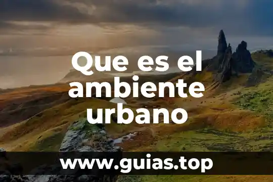 Tipos de paisaje urbano que es 4 Que es el ambiente urbano