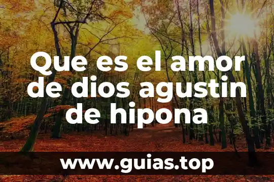 Que es el principio de unidad agustin 5 Que es el amor de dios agustin de hipona