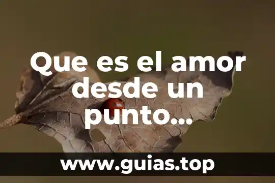 Qué es concepto desde el punto de vista filosófico 5 Que es el amor desde un punto filosofico