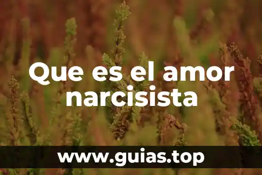 Qué es el amor de verdad 6 Que es el amor narcisista