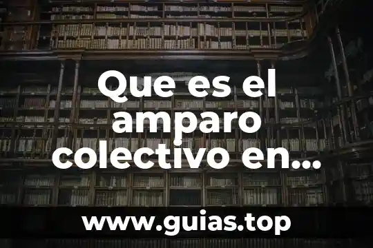 Que es inversion a corto plazo y tipos de inversion 6 Que es el amparo colectivo en mexico
