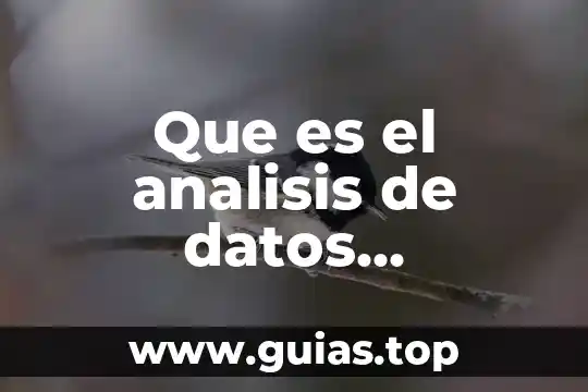 Que es kdd de datos redalyc 7 Que es el analisis de datos efectuada