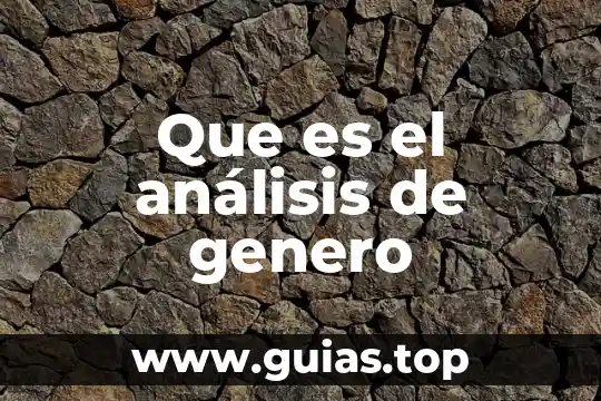 Qué es un análisis concepto 3 Que es el análisis de genero