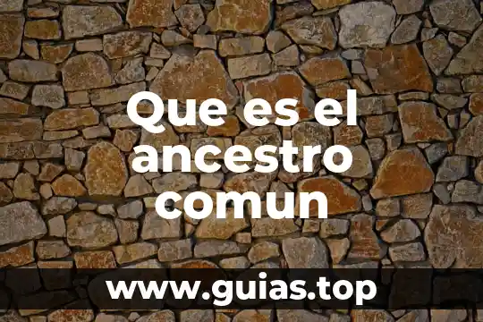 Qué es un nombre propio y común 3 Que es el ancestro comun