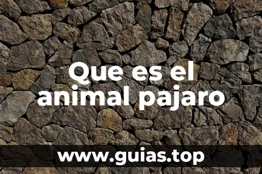 Que es una habitat animal 6 Que es el animal pajaro