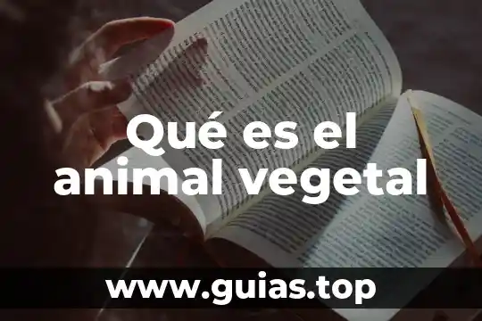 Que es un animal carroñero 3 Qué es el animal vegetal
