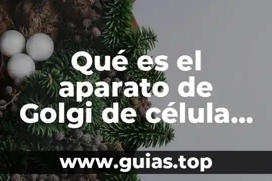Que es animal zoofilia 7 Qué es el aparato de Golgi de célula animal