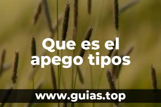 Que es apego a una persona 5 Que es el apego tipos