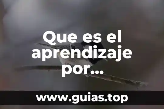 Que es no aprendizaje 7 Que es el aprendizaje por contigüedad