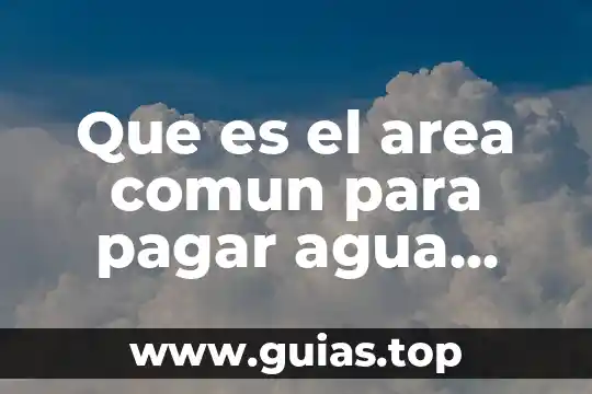 Que es mas pesado agua o hielo 8 Que es el area comun para pagar agua sacmex