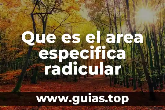 Qué es área para el principio de Pascal 4 Que es el area especifica radicular