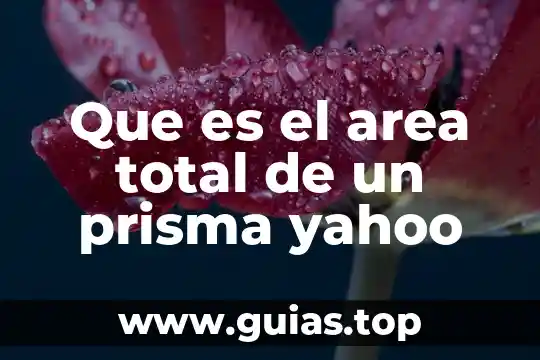 Qué es prisma y sus características y sus nombres 5 Que es el area total de un prisma yahoo