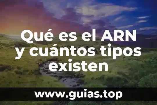 Que es el composteo y cuantos tipos existen 7 Qué es el ARN y cuántos tipos existen