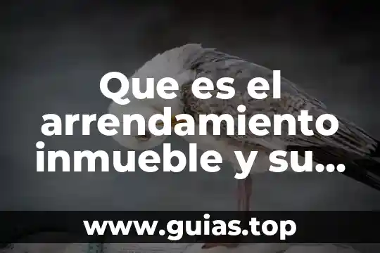 Que es el arrendamiento inmueble y su tratamiento fiscal 2019