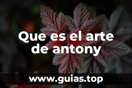 Qué es el DCS definición 5 Que es el arte de antony