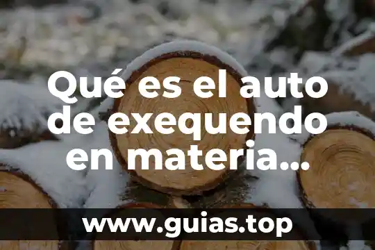 Qué es el auto de exequendo en materia mercantil