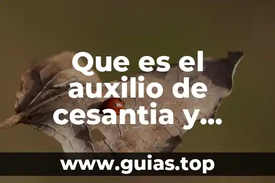 Que es la formalidad y como se calcula 3 Que es el auxilio de cesantia y como se calcula