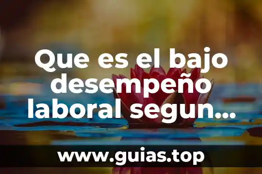 Que es nepotismo segun autores 3 Que es el bajo desempeño laboral segun autores