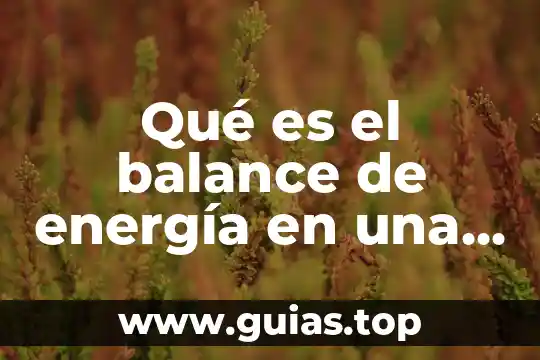 Que es purgar una bomba de agua 5 Qué es el balance de energía en una bomba
