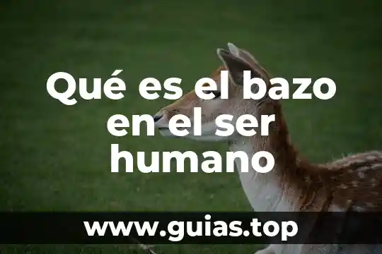 Formato de enfermeria que es 3 Qué es el bazo en el ser humano