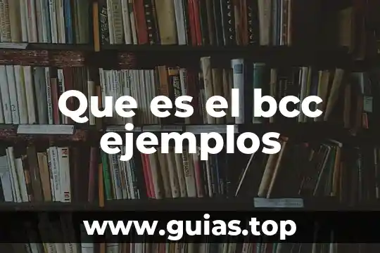 Ejemplos sencillos que es el paradigma de la complejidad 5 Que es el bcc ejemplos