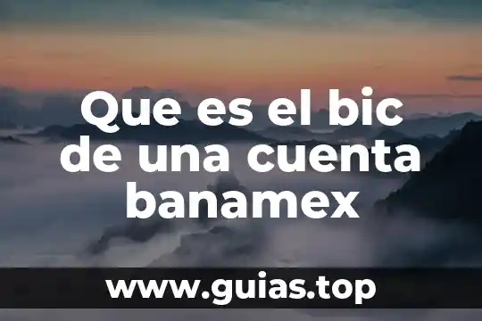 Que es el alias de una cuenta banamex 6 Que es el bic de una cuenta banamex