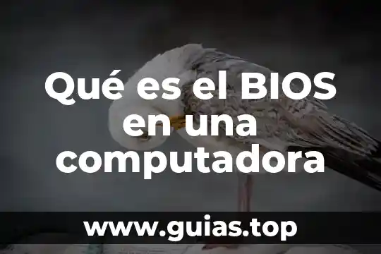 Que es bueno para los gases de un recien nacido 4 Qué es el BIOS en una computadora