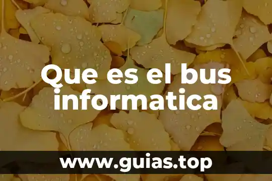 Qué es un bus de datos y qué tipos existen 7 Que es el bus informatica