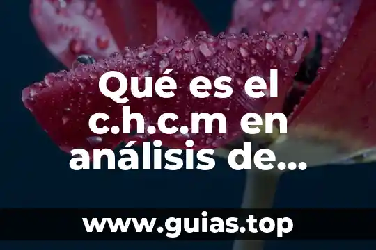 Qué es un análisis concepto 4 Qué es el c.h.c.m en análisis de sangre