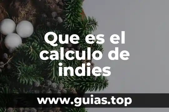 Que es calculo intuitivamente 4 Que es el calculo de indies