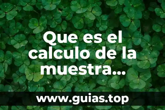 Que es una poblacion microbiana en agua 5 Que es el calculo de la muestra poblacion finita cualitativa