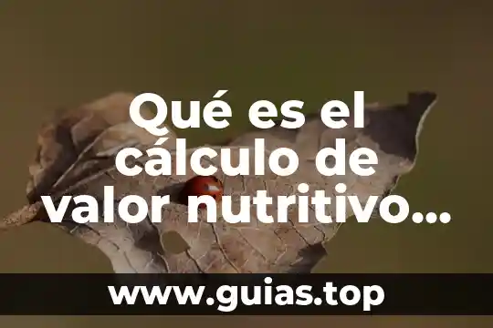 Que es la psicología investigadora 3 Qué es el cálculo de valor nutritivo de los alimentos