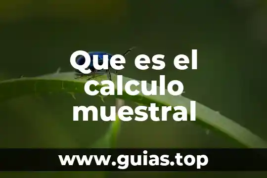 Que es grado de riesgo calculo 5 Que es el calculo muestral