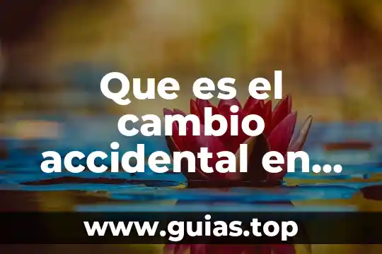 Qué es curiosidad filosofía 3 Que es el cambio accidental en filosofía