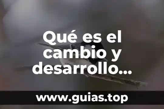 Que es el desarrollo del pensamiento simbolico 6 Qué es el cambio y desarrollo social