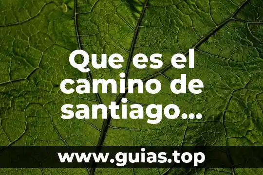 Qué es duopolio definición 7 Que es el camino de santiago definicion