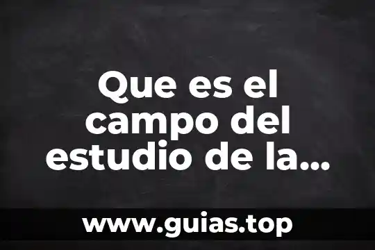Que es el nombre del campo 3 Que es el campo del estudio de la mercadotecnia