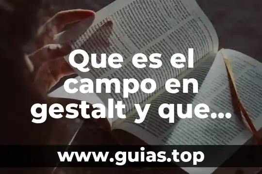 Que es el campo en gestalt y que implica