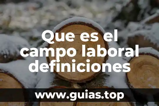 Que es desistimiento de la instancia en materia laboral 3 Que es el campo laboral definiciones