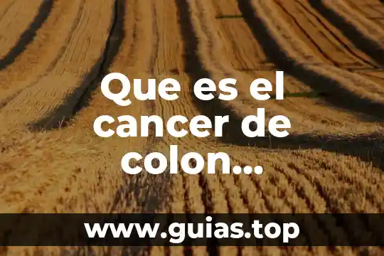 Qué es formato de celdas en Excel definición 4 Que es el cancer de colon definicion oms