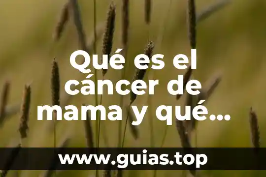 Que es ser un cancer 6 Qué es el cáncer de mama y qué podemos hacer