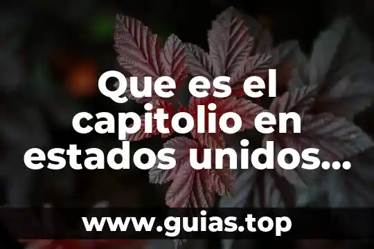 Qué es la libertad condicional en estados unidos 7 Que es el capitolio en estados unidos texas