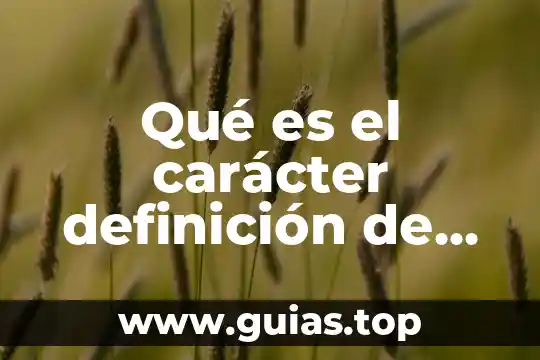 Que es ser caracter fuerte 6 Qué es el carácter definición de autores