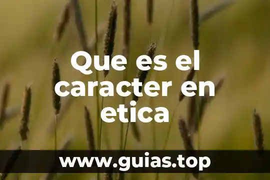 Que es le comite de etica edomex 3 Que es el caracter en etica