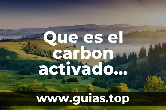 Que es un programa pre activado 5 Que es el carbon activado donde lo venden