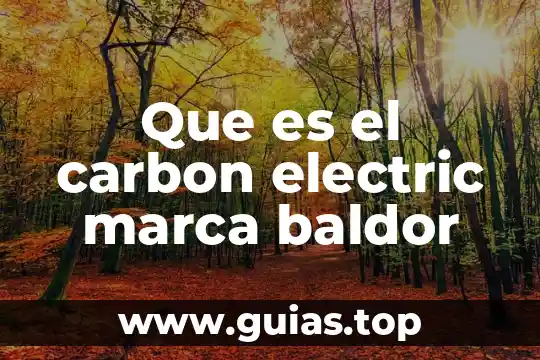 Que es una marca de agua-computacion 5 Que es el carbon electric marca baldor