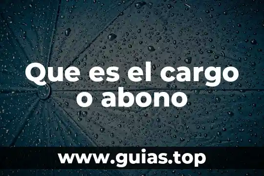 Que es cuenta a cargo estado 8 Que es el cargo o abono